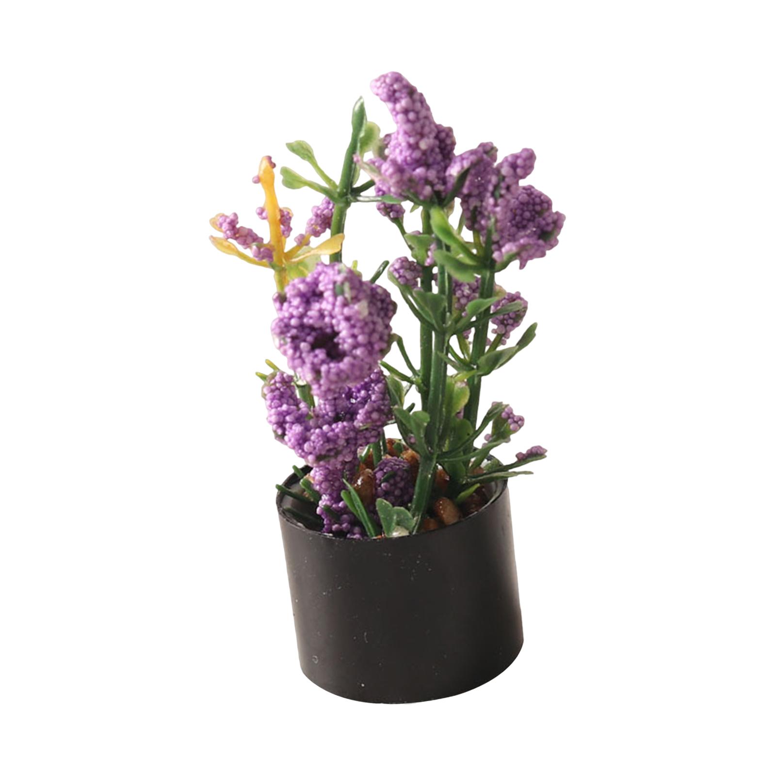 1/12 Miniature Flower Bonsai O - Bonsai Garden Entrance 评论和价格