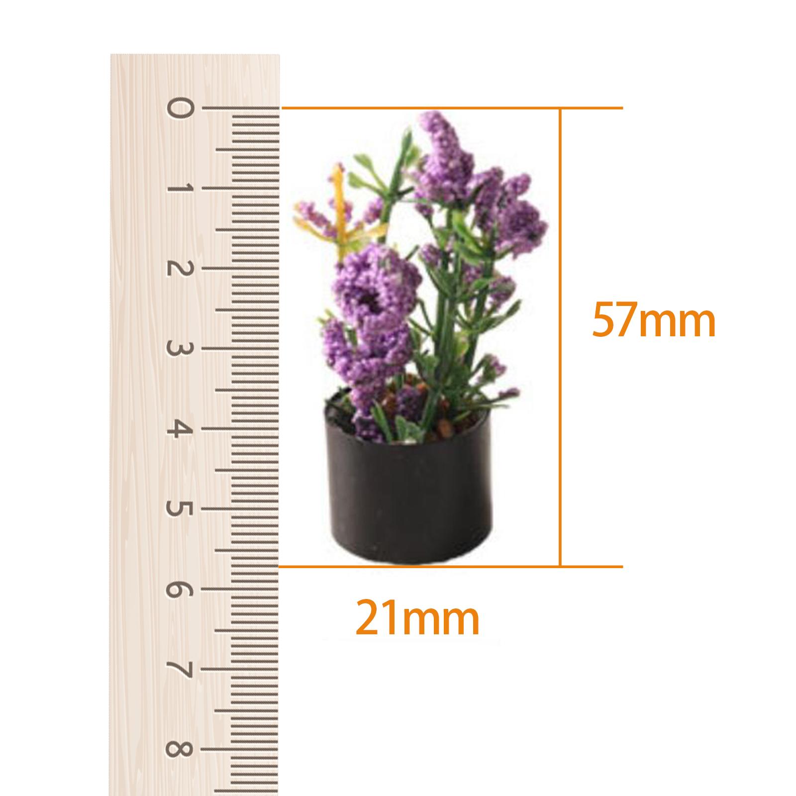 1/12 Miniature Flower Bonsai O - Bonsai Garden Entrance 评论和价格