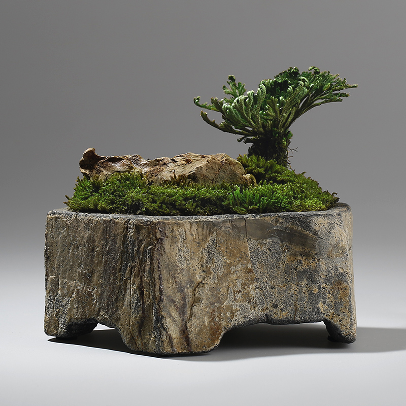 Basalt Natural Stone Flower Po - Bonsai Garden Indoor 评论和价格