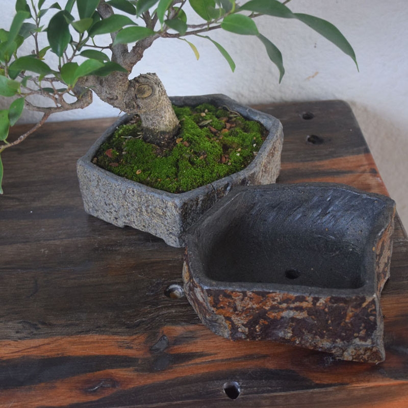 Basalt Natural Stone Flower Po - Bonsai Garden Indoor 评论和价格