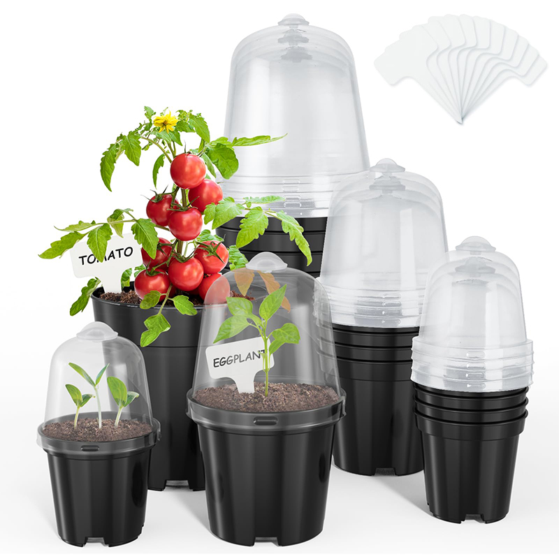 Nursery Pots Flowerpot Gardeni - Bonsai Garden Indoor 评论和价格