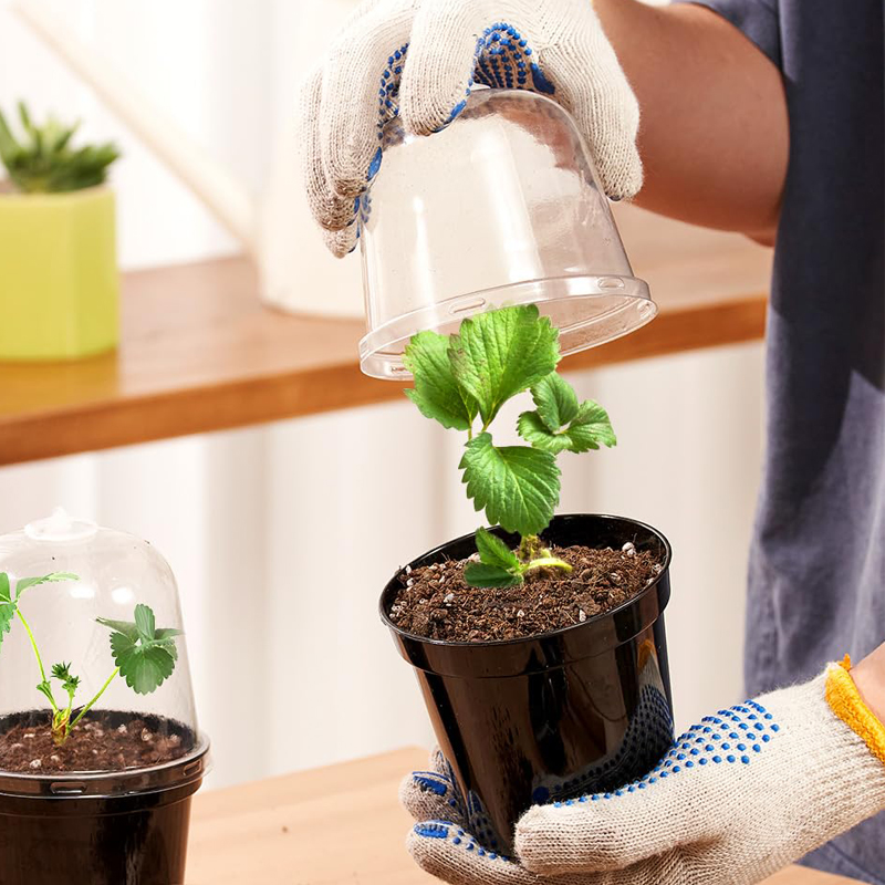 Nursery Pots Flowerpot Gardeni - Bonsai Garden Indoor 评论和价格