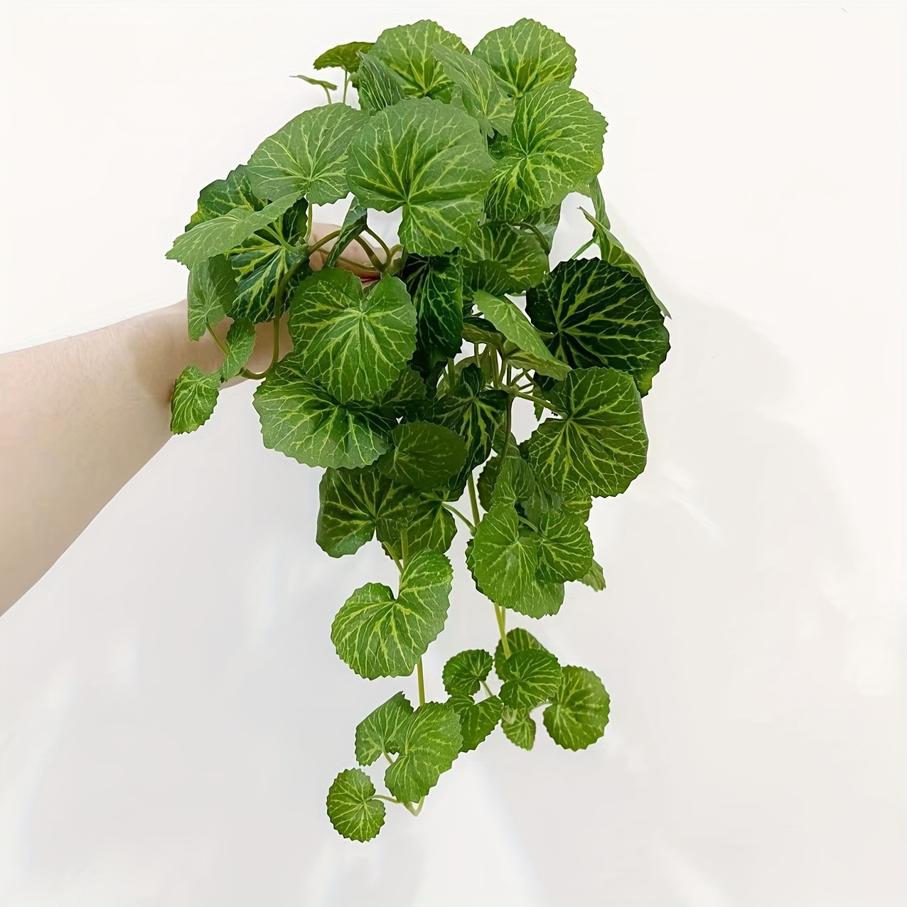 An artificial hanging vine pla - Bonsai Garden Indoor 评论和价格