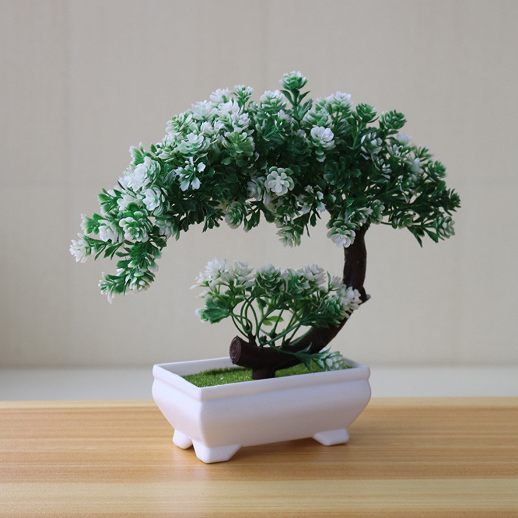 Plastic potted bonsai ornament - Bonsai Garden Indoor 评论和价格