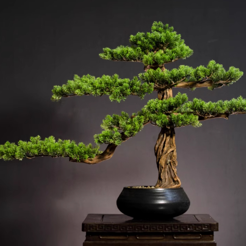 Home Welcoming Pine Ornaments  - Bonsai Garden Entrance 评论和价格
