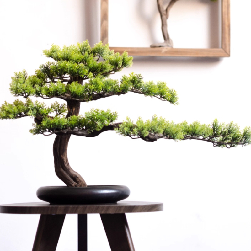 Home Welcoming Pine Ornaments  - Bonsai Garden Entrance 评论和价格