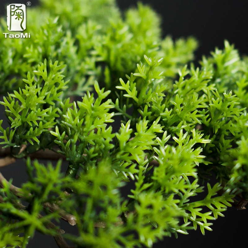 Home Welcoming Pine Ornaments  - Bonsai Garden Entrance 评论和价格